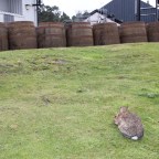 09. – 10.09.2022 Culloden/Fort George/Tomatin