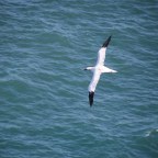 22.09.-23.09.2022 East Yorkshire/Hull – Rotterdam